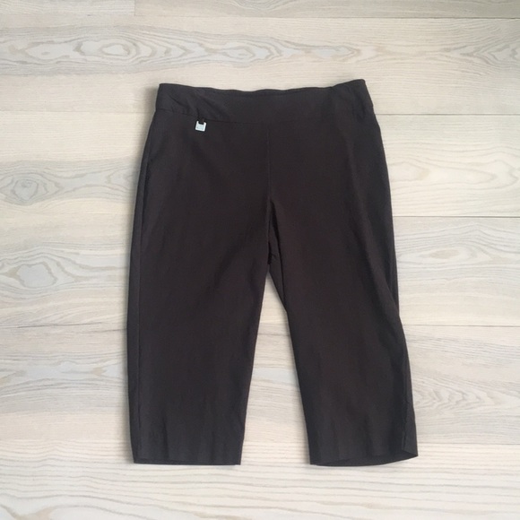 Peck & Peck Pants - Peck & Peck NWOT Brown Bermuda Shorts Size 4